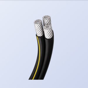 600 Volt Triplex